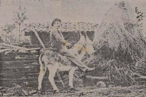 Labarta subido nun burro