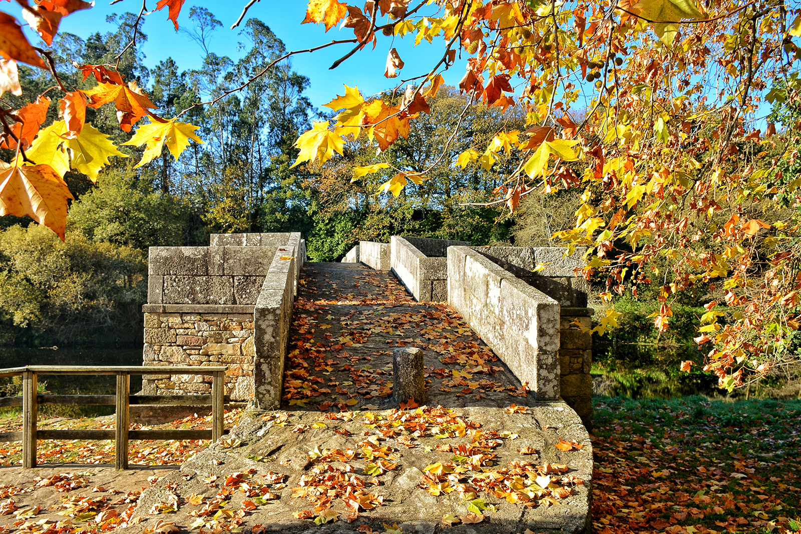 16 Ponte de Brandomil outono